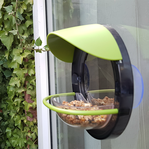 Window Bird Feeder Crocodile Stores